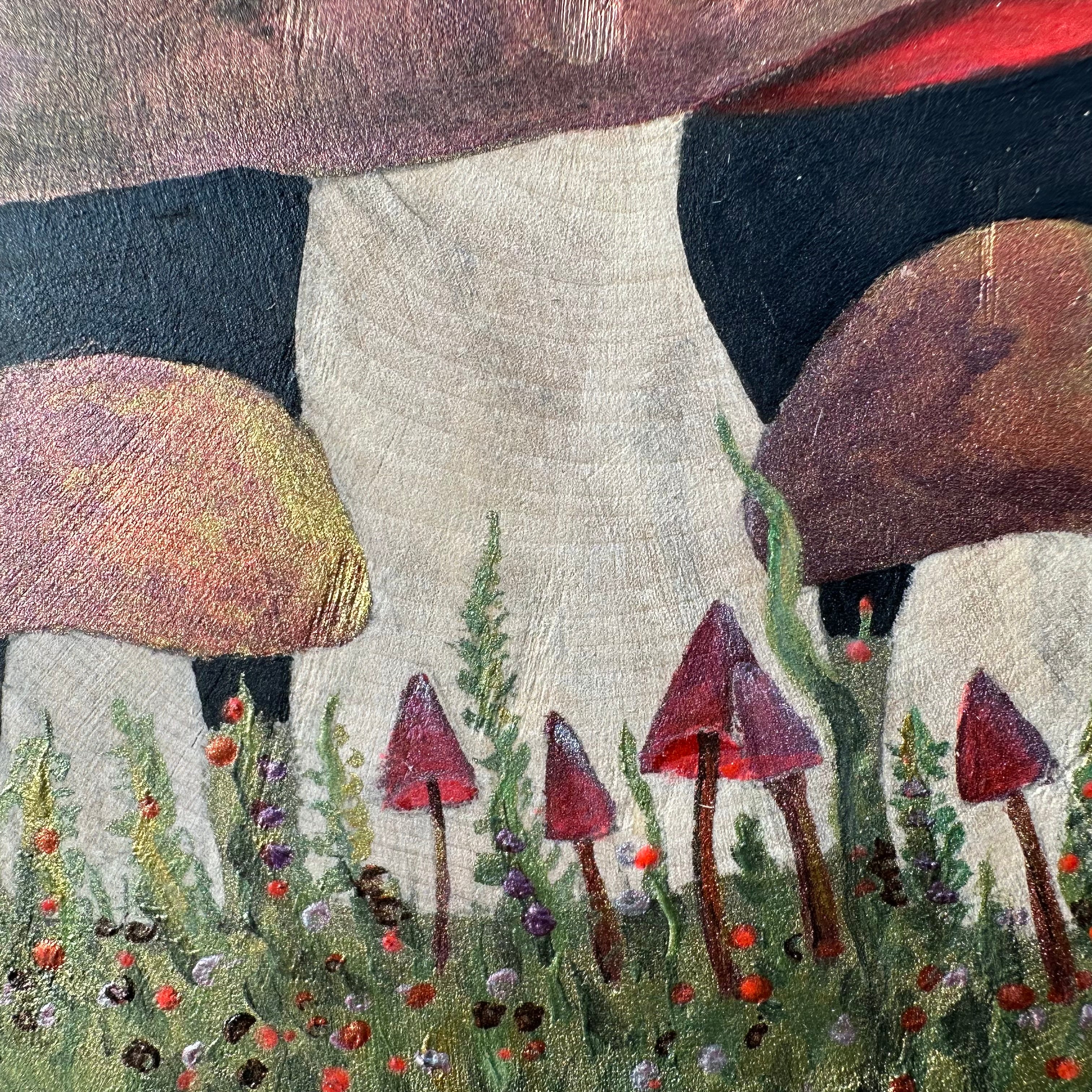 Boletes (Glow-in-the-dark)