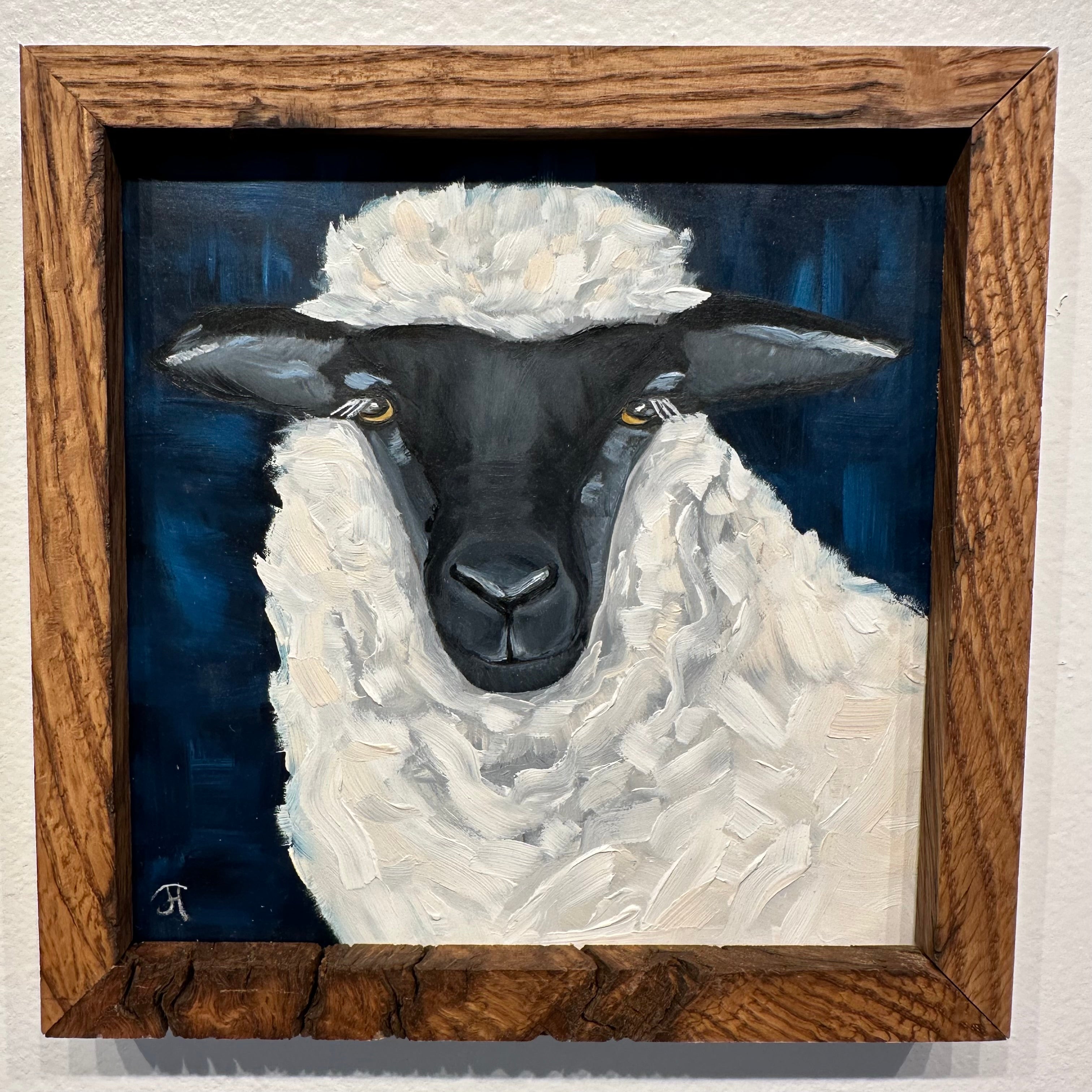 Black & White Sheep