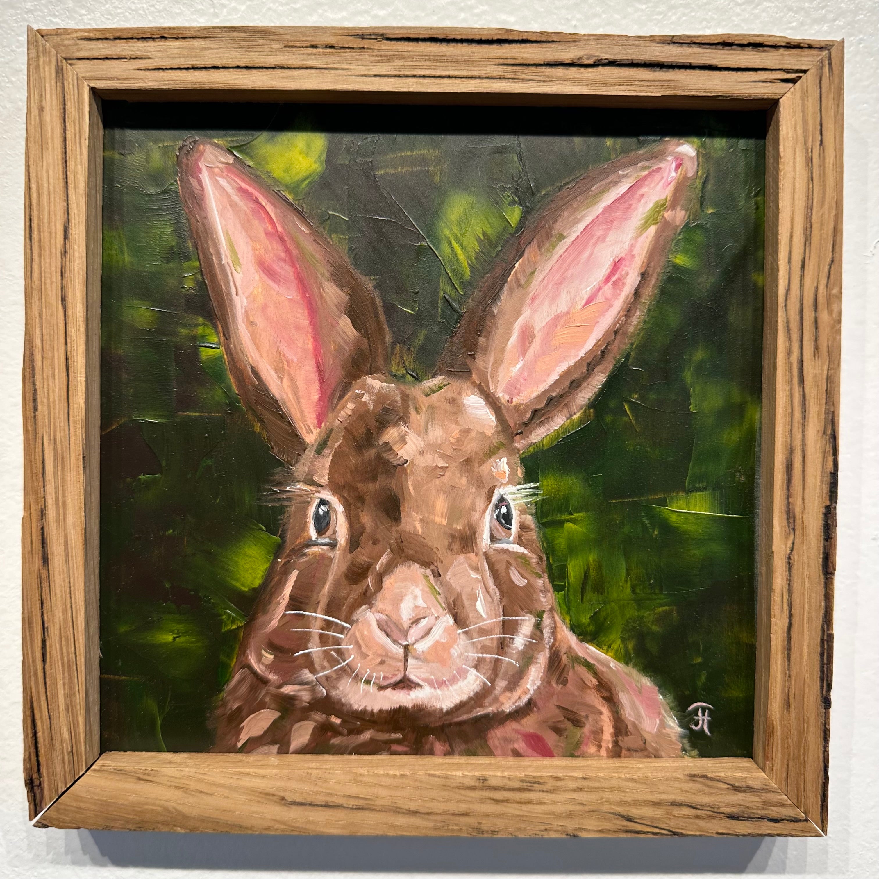 Curious Rabbit