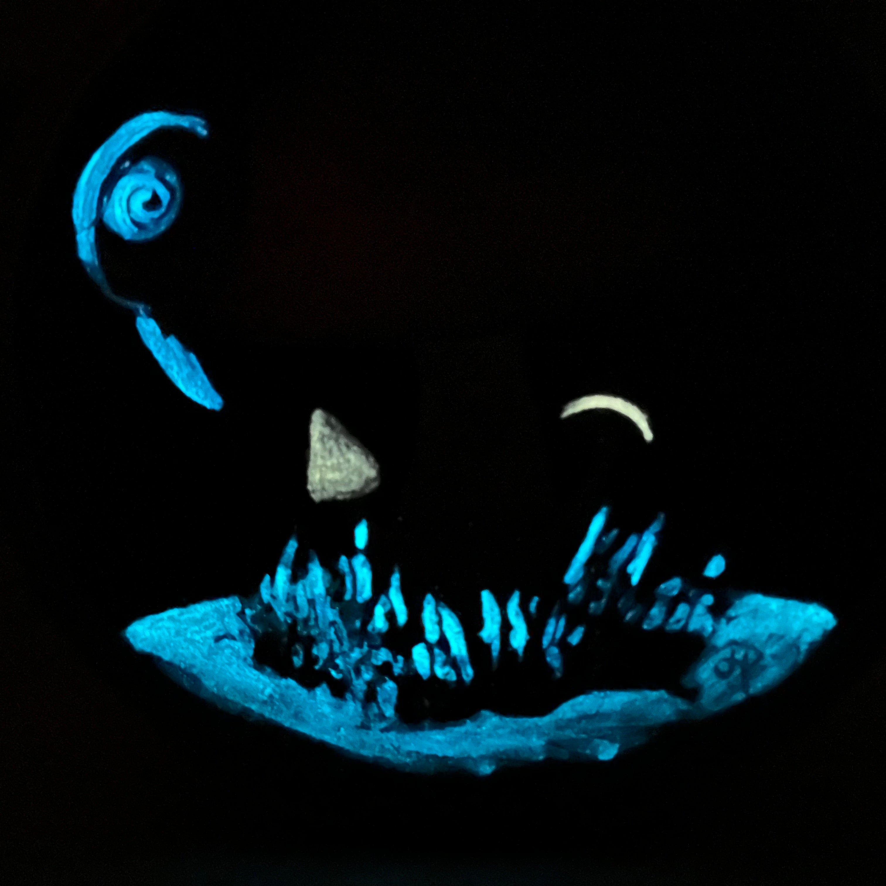 Hide and Seek (Glow-in-the Dark)