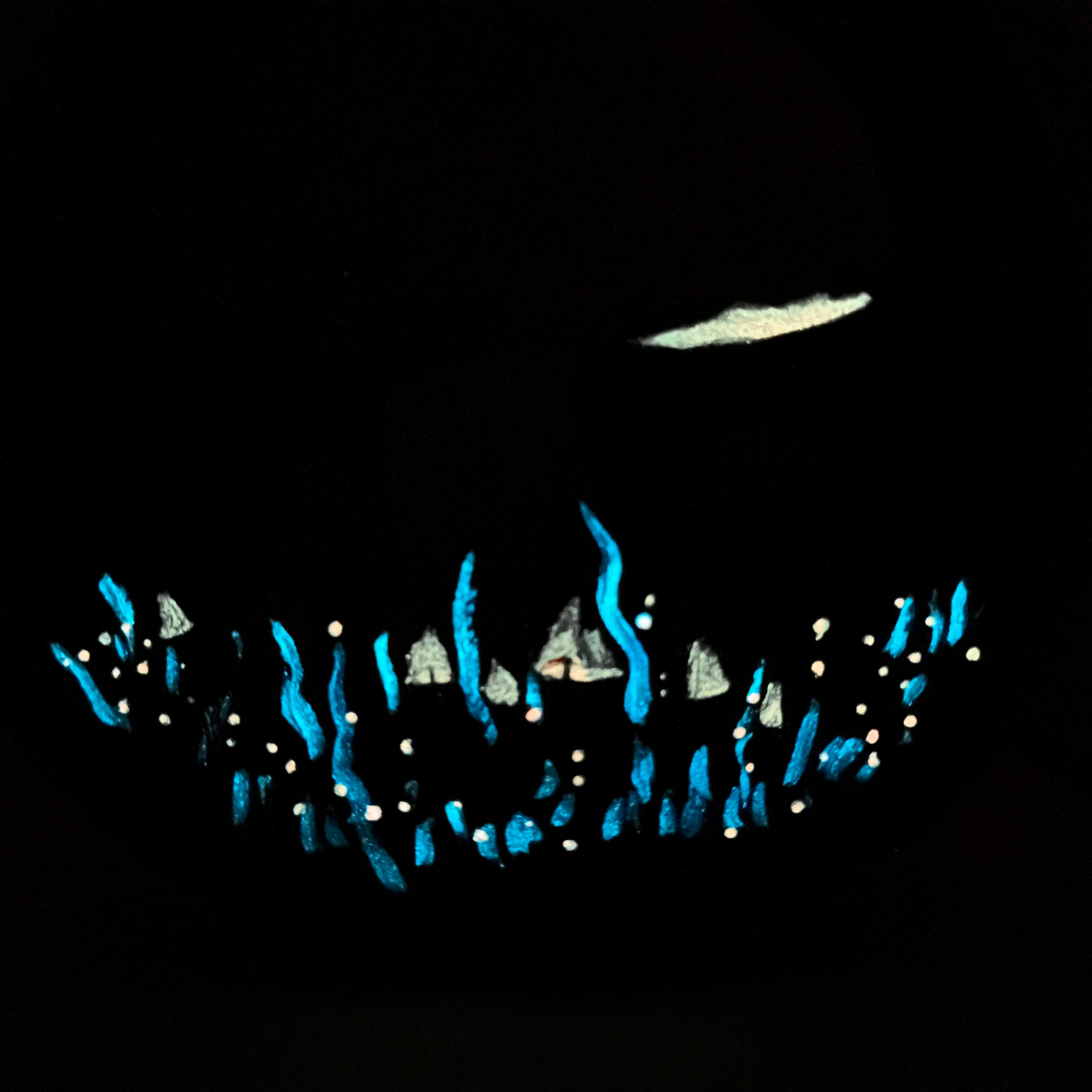 Boletes (Glow-in-the-dark)