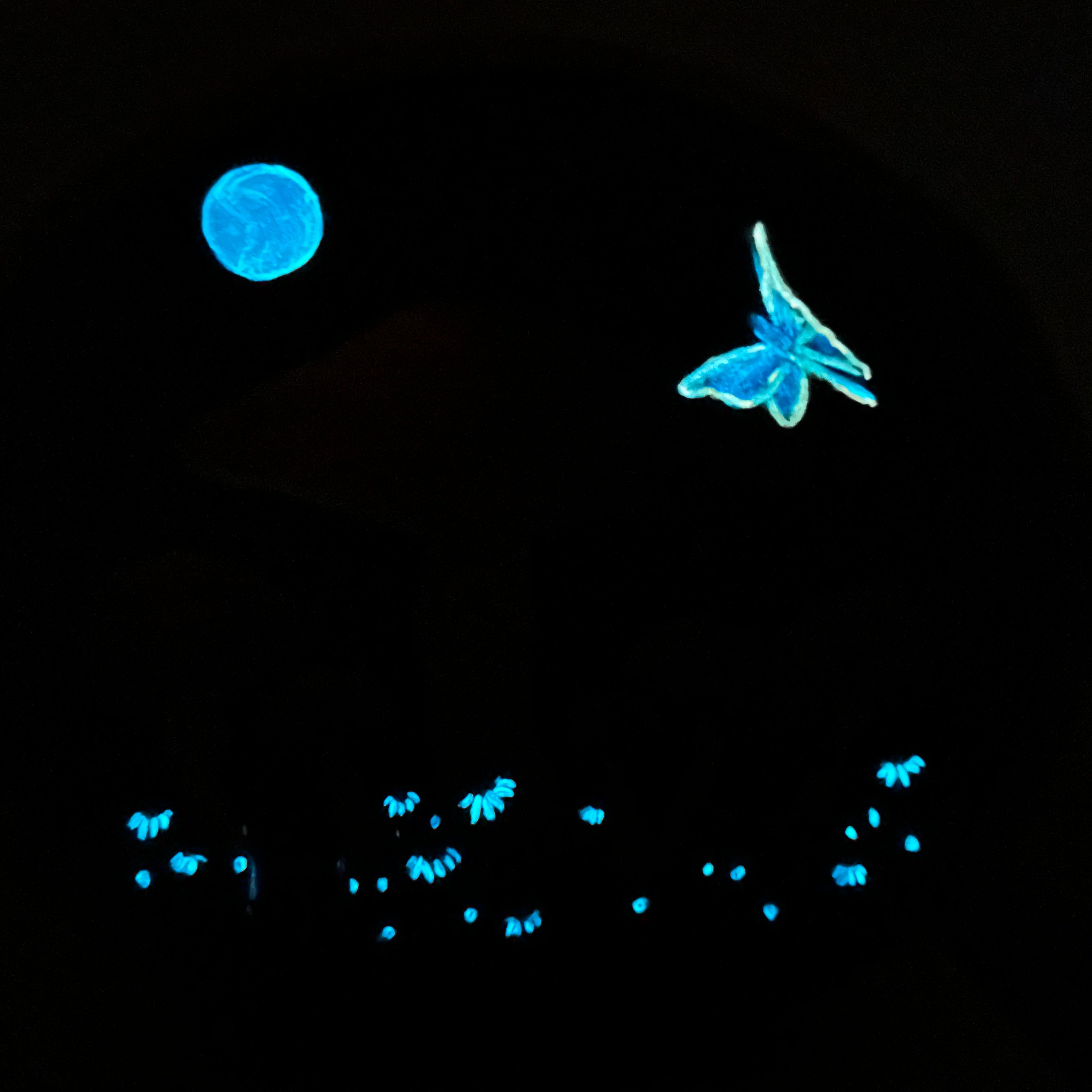 Moth and Moon (Glow-in-the Dark)