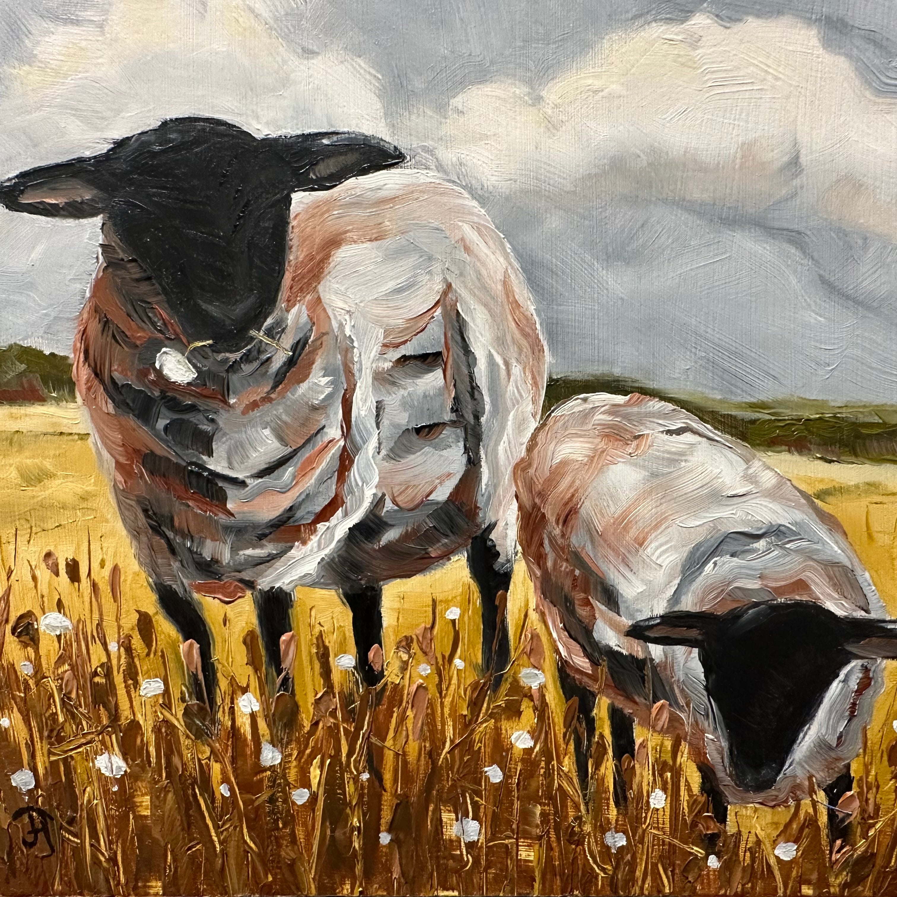 Sheep in Meadow
